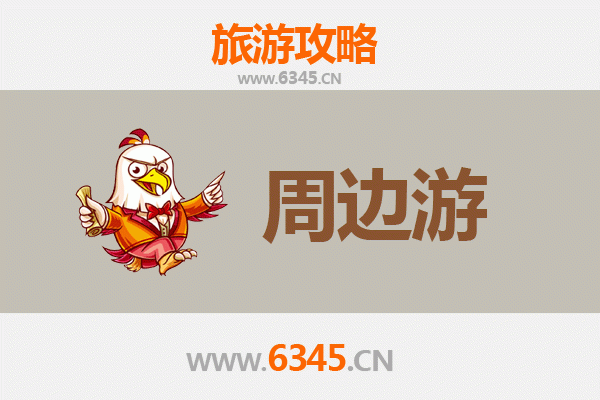 东营利津周边游攻略：探索黄河入海口的生态与人文之美
