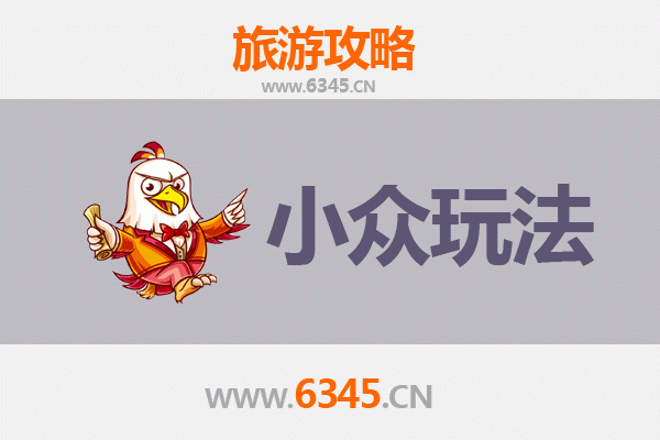 东营利津秘境探索：解锁小众玩法与深度体验